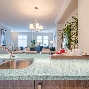 Silestone Counter Surfaces 3